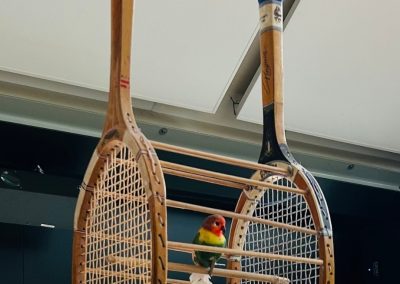 ELZENHAGEN tennisclub